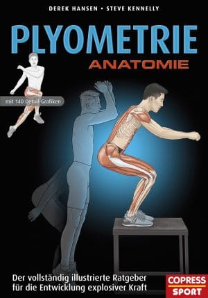 Plyometrie Anatomie