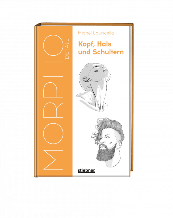 Morpho Detail - Kopf, Hals und Schultern